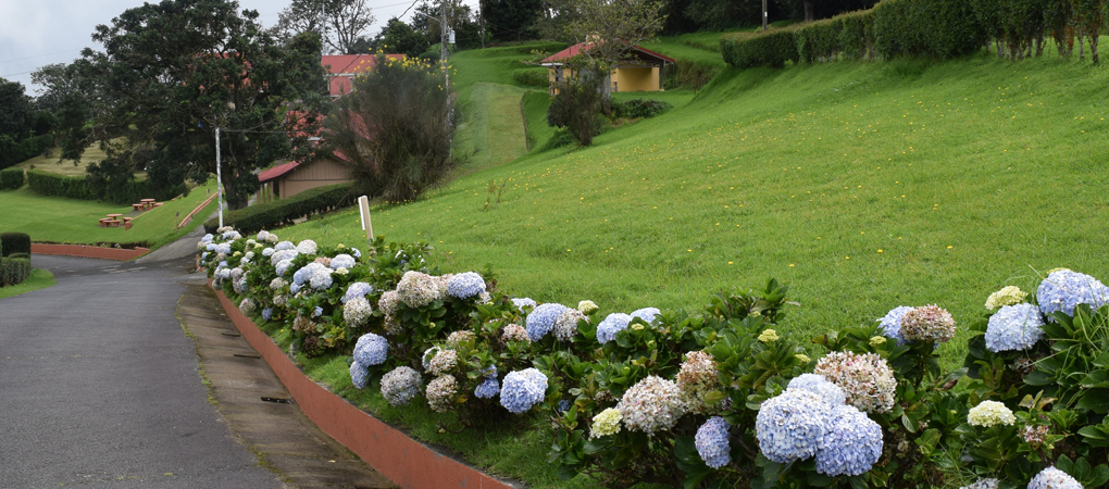 Cabinas La Pradera, Zarcero